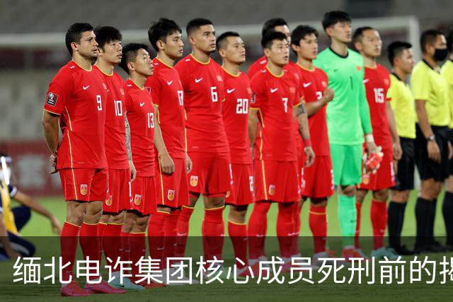缅北电诈集团核心成员死刑前的揭露与反思